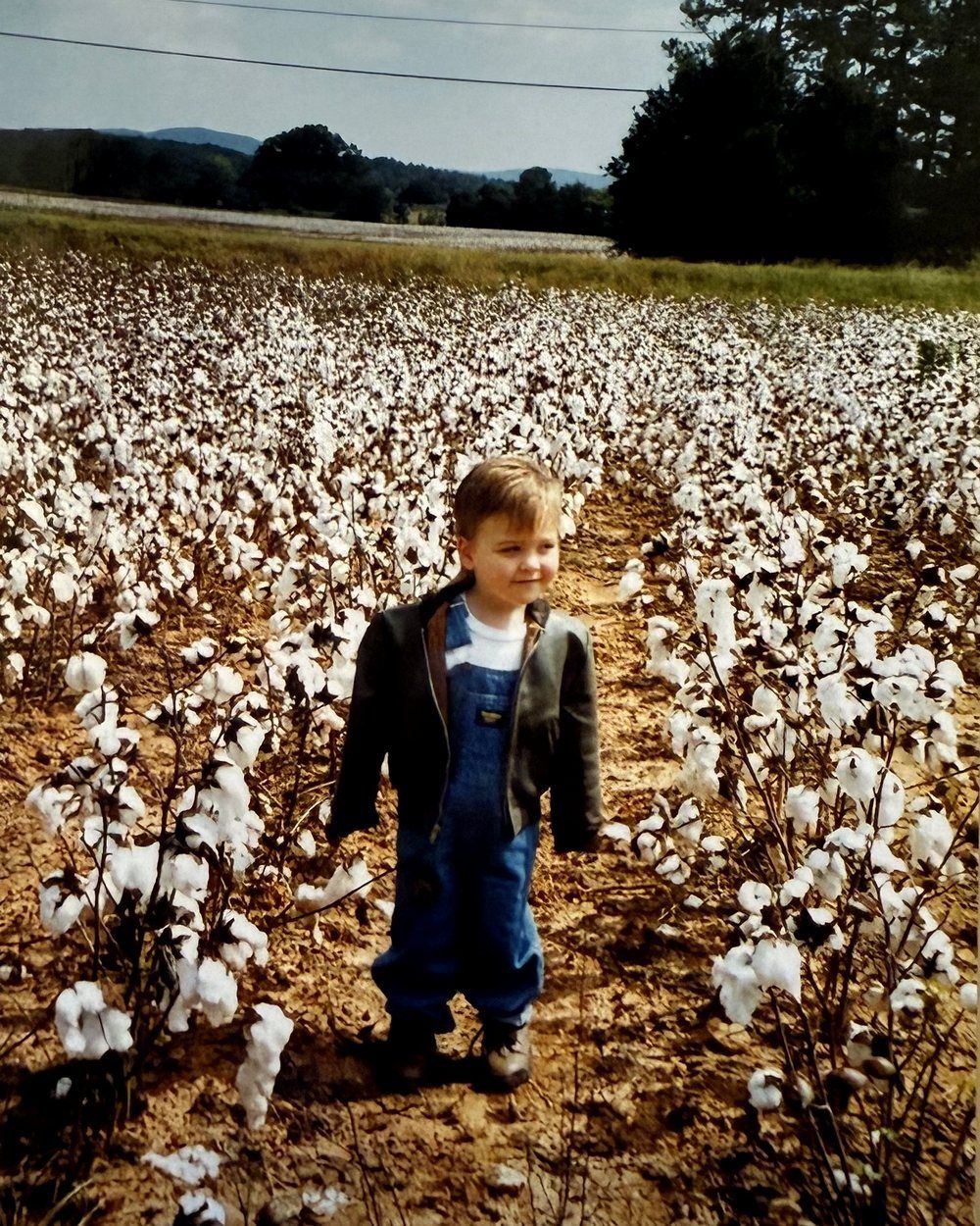 A young boy in overalls standing in an Alabama cotton field with hills behind, from a faded print